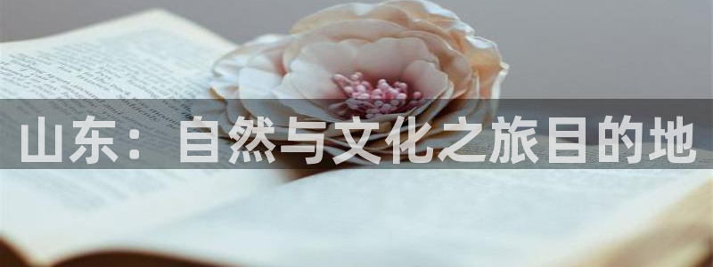 “海角社区真的假的：山东：自然与文化之旅目